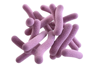 Bacteria PNG-43364